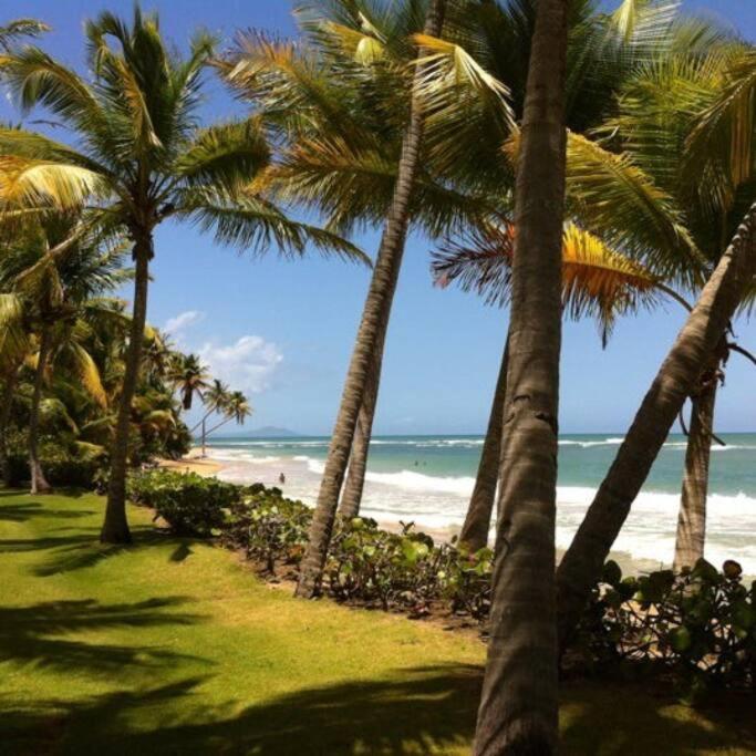 Апартаменти Beach Access + 3 Pools + Ocean Views - 2Br In Palmas - Sleeps 7 Умакао Екстер'єр фото